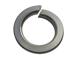 Incoloy 825 Lock Washers